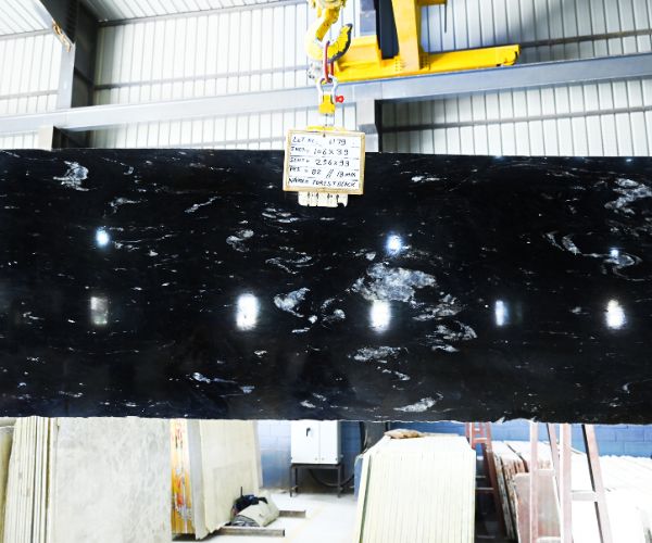 Forest Black Granite